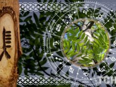 Кельтський гороскоп дерев на 1 січня 2026 року: з чого почати новий рік без поспіху Кельтський-гороскоп-дерев-на-1-січня-2026-року:-з-чого-почати-новий-рік-без-поспіху