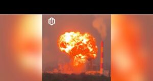 Трохи дали вугілля. СБС у глибині боліт. (ВІДЕО) Трохи дали вугілля. СБС у глибині боліт. (ВІДЕО)