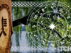 Кельтський гороскоп дерев на 2 січня 2026 року: налаштування темпу і перші робочі рішення Кельтський-гороскоп-дерев-на-2-січня-2026-року:-налаштування-темпу-і-перші-робочі-рішення