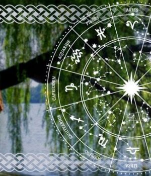 Кельтський-гороскоп-дерев-на-2-січня-2026-року:-налаштування-темпу-і-перші-робочі-рішення