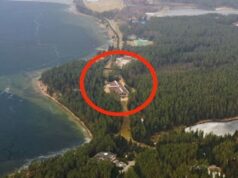 У ЦРУ підтвердили, що Україна не атакувала резиденцію путіна У-ЦРУ-підтвердили,-що-Україна-не-атакувала-резиденцію-путіна