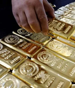 Водій Кіровоградського обласного ТЦК задекларував золоті злитки при звільненні