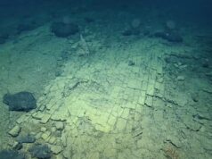 На дні океану знайшли “дорогу до Атлантиди”: вчені пояснили, що це насправді На-дні-океану-знайшли-“дорогу-до-Атлантиди”:-вчені-пояснили,-що-це-насправді