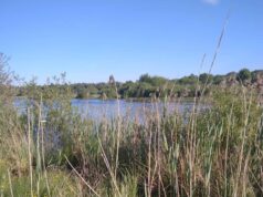 Неподалік Луцька віддають в оренду на 10 років комунальний ставок Неподалік-Луцька-віддають-в-оренду-на-10-років-комунальний-ставок