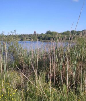 Неподалік-Луцька-віддають-в-оренду-на-10-років-комунальний-ставок