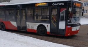 Скандал у Луцьку: водій тролейбусу висадила посеред вулиці пасажирку з собакою Скандал-у-Луцьку:-водій-тролейбусу-висадила-посеред-вулиці-пасажирку-з-собакою