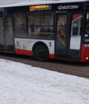 Скандал-у-Луцьку:-водій-тролейбусу-висадила-посеред-вулиці-пасажирку-з-собакою