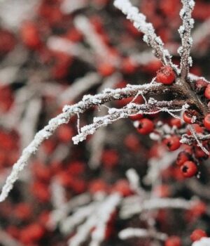 День-ангела-3 січня:-кого-та як вітати-з іменинами