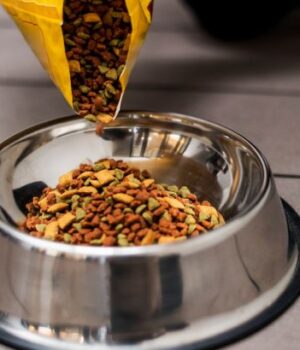 Волинський-суд-відібрав-у-чоловіка-20-мішків-корму-для-тварин,-привезеного-з-Польщі Волинський-суд-відібрав-у-чоловіка-20-мішків-корму-для-тварин,-привезеного-з-Польщі