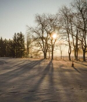 Штормовий-вітер-та-сніг:-синоптики-попередили-українців-про-негоду Штормовий-вітер-та-сніг:-синоптики-попередили-українців-про-негоду