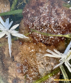 Морози-до-19°:-цього-тижня-на-Волині-пануватиме-зимова-погода Морози-до-19°:-цього-тижня-на-Волині-пануватиме-зимова-погода