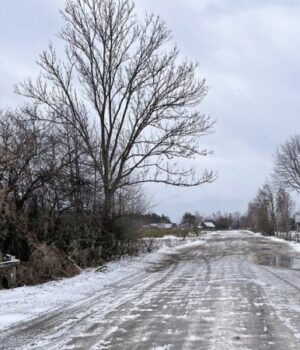 До-19°-морозу:-тижневий-прогноз-погоди-від-синоптиків-на-Волині До-19°-морозу:-тижневий-прогноз-погоди-від-синоптиків-на-Волині