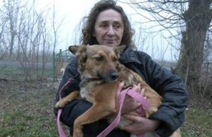 Зооволонтерка з Волині прилаштувала в добрі руки понад сотню собак із фронту Зооволонтерка-з-Волині-прилаштувала-в-добрі-руки-понад-сотню-собак-із-фронту