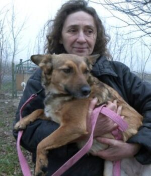Зооволонтерка-з-Волині-прилаштувала-в-добрі-руки-понад-сотню-собак-із-фронту