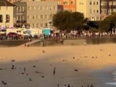 Внаслідок стрілянини на пляжі у Сіднеї загинуло шестеро українців Внаслідок-стрілянини-на-пляжі-у-Сіднеї-загинуло-шестеро-українців