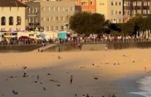 Внаслідок стрілянини на пляжі у Сіднеї загинуло шестеро українців Внаслідок-стрілянини-на-пляжі-у-Сіднеї-загинуло-шестеро-українців