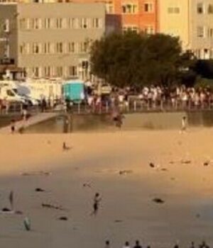 Внаслідок-стрілянини-на-пляжі-у-Сіднеї-загинуло-шестеро-українців