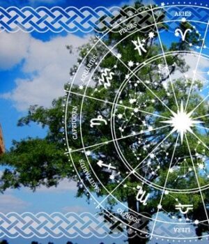 Кельтський-гороскоп-дерев-на-6-січня-2026-року:-концентрація-і-робота-з-пріоритетами