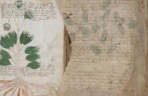 Загадковий рукопис Войнича може виявитися середньовічним шифром: вчені приголомшені Загадковий-рукопис-Войнича-може-виявитися-середньовічним-шифром:-вчені-приголомшені