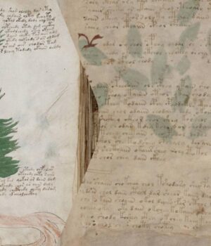 Загадковий-рукопис-Войнича-може-виявитися-середньовічним-шифром:-вчені-приголомшені Загадковий-рукопис-Войнича-може-виявитися-середньовічним-шифром:-вчені-приголомшені