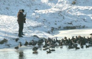 Занурювався у воду при −30॰С: луцькі моржі про зимові купання Занурювався-у-воду-при-−30॰С:-луцькі-моржі-про-зимові-купання