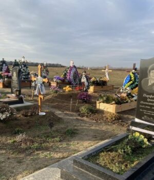 І-слідів-немає:-у-Луцькому-районі-невідомі-вкрали-з-кладовища-туї-та-вази