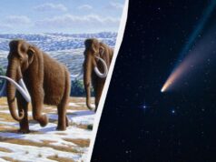 Вибух комети знищив мамонтів і одну з найдавніших культур Америки, – учені Вибух-комети-знищив-мамонтів-і-одну-з-найдавніших-культур-Америки,-–-учені
