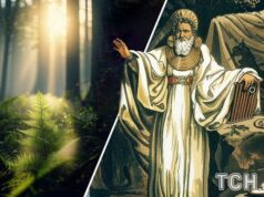 Рослинний гороскоп друїдів на 7 січня: день родинних рішень для Раків і Водоліїв Рослинний-гороскоп-друїдів-на-7-січня:-день-родинних-рішень-для-Раків-і-Водоліїв