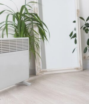 Як-не-«пересушити»-організм-взимку-та-вберегти-шкіру-від-сухого-повітря? Як-не-«пересушити»-організм-взимку-та-вберегти-шкіру-від-сухого-повітря?