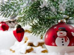 Коли треба прибирати новорічну ялинку: сприятливі дати Коли-треба-прибирати-новорічну-ялинку:-сприятливі-дати