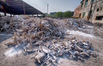 На Волині орендаря, який забруднив землі відходами від тваринництва, позбавили ділянки На-Волині-орендаря,-який-забруднив-землі-відходами-від-тваринництва,-позбавили-ділянки