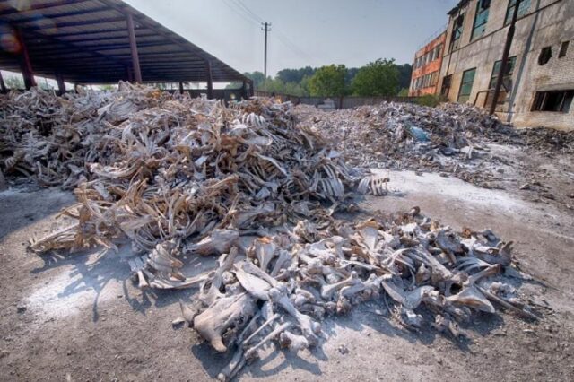 На Волині орендаря, який забруднив землі відходами від тваринництва, позбавили ділянки На-Волині-орендаря,-який-забруднив-землі-відходами-від-тваринництва,-позбавили-ділянки