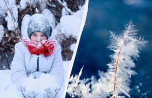 Свято 8 січня 2026 року в Україні: кого потрібно запросити в гості за прикметами Свято-8-січня-2026-року-в-Україні:-кого-потрібно-запросити-в-гості-за-прикметами