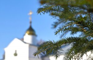 8 січня: церковне свято сьогодні, кому не можна працювати до обіду цього дня 8-січня:-церковне-свято-сьогодні,-кому-не-можна-працювати-до-обіду-цього-дня