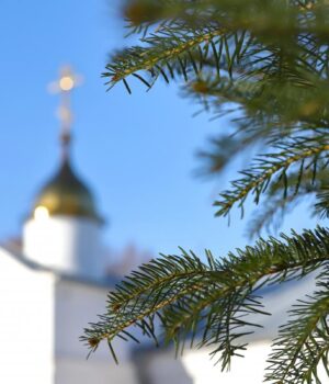 8-січня:-церковне-свято-сьогодні,-кому-не-можна-працювати-до-обіду-цього-дня