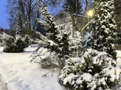 На Волині зафіксували найінтенсивніші снігопади за майже п’ять років На-Волині-зафіксували-найінтенсивніші-снігопади-за-майже-п’ять-років