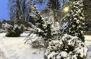 На Волині зафіксували найінтенсивніші снігопади за майже п’ять років На-Волині-зафіксували-найінтенсивніші-снігопади-за-майже-п’ять-років