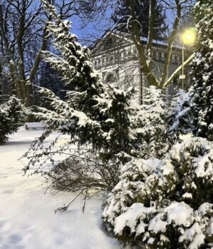 На-Волині-зафіксували-найінтенсивніші-снігопади-за-майже-п’ять-років