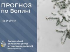 Якою буде погода у п’ятницю, 9 січня, у Луцьку та на Волині Якою-буде-погода-у-п’ятницю,-9-січня,-у-Луцьку-та-на-Волині