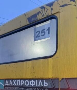 «Будете-з-відрами-ходити»:-водій-луцької-маршрутки-образив-родину-загиблого-військового