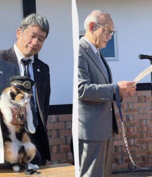В-Японії-котів-призначають-начальниками-залізничних-станцій,-і-це-приносить-гроші