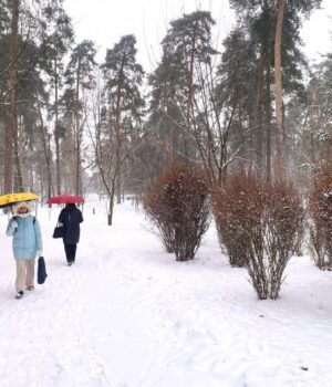 9-січня-морози-в-Україні-посиляться,-а-сніг-продовжиться