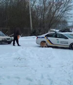 Патрульні-на-Волині-рятують-водіїв-із-халепи-через-негоду Патрульні-на-Волині-рятують-водіїв-із-халепи-через-негоду