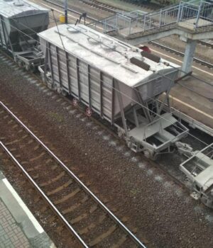 Укрзалізниця-у-2025-році-перевезла-на-27%-менше-зернових:-у-чому-причина