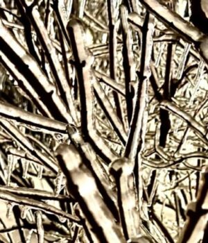 Морози-після-снігу-з-дощем-Погода.-Чого-очікувати-найближчими-днями?