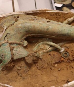 У-Британії-знайшли-кельтський-музичний-інструмент-залізного-віку-в-формі-дикої-тварини У-Британії-знайшли-кельтський-музичний-інструмент-залізного-віку-в-формі-дикої-тварини