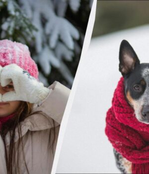 Яке-свято-відзначаємо-10-січня:-цікаві-факти-та-заборона-для-жінок