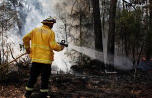 В Австралії вирують лісові пожежі, десятки тисяч людей залишилися без світла В-Австралії-вирують-лісові-пожежі,-десятки-тисяч-людей-залишилися-без-світла