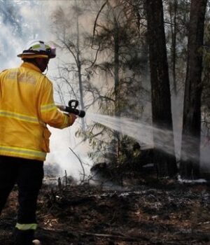 В-Австралії-вирують-лісові-пожежі,-десятки-тисяч-людей-залишилися-без-світла