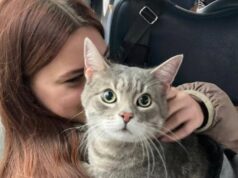 «Виїхати з окупації». Як подружжя переселенців евакуювало тисячі людей «Виїхати-з-окупації».-Як-подружжя-переселенців-евакуювало-тисячі-людей